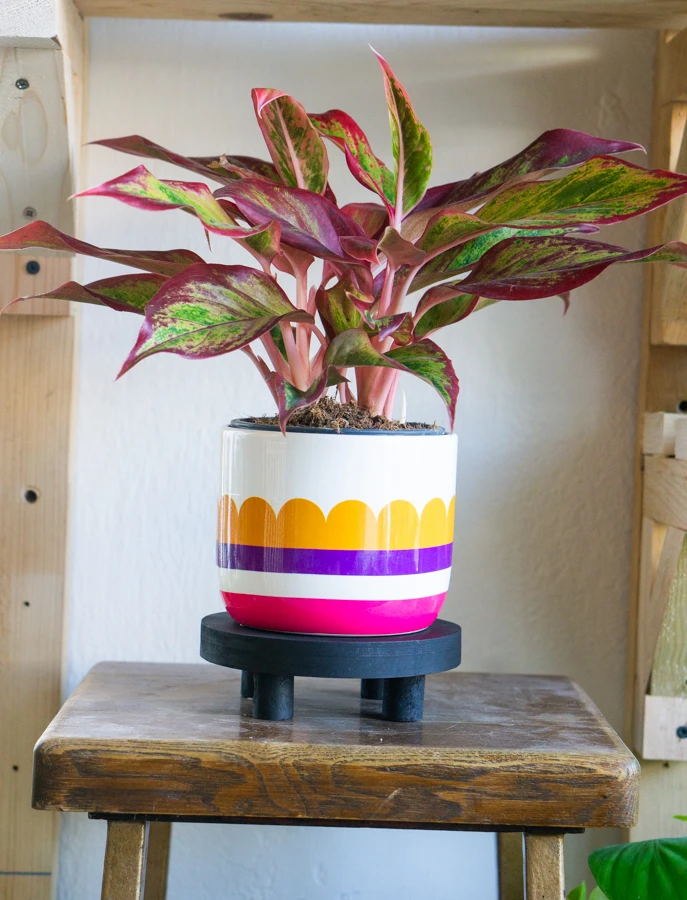 Dreveny stojan na kvetinac (mangove drevo)