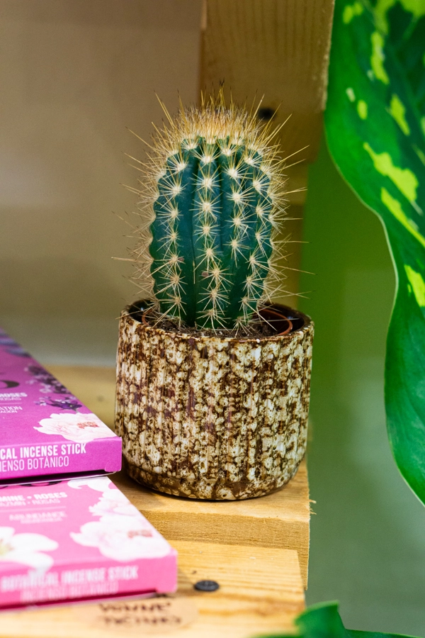 Keramicky kvetinac "Jaguar"