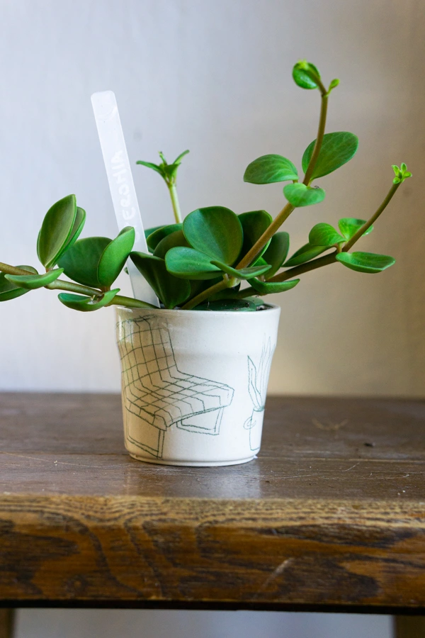 Keramicky kvetinac Atelier Javorski PLANT (nahodny kus)