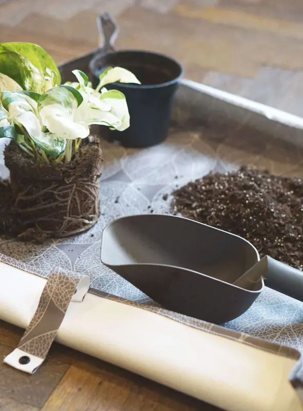 PresadMatka - cierna