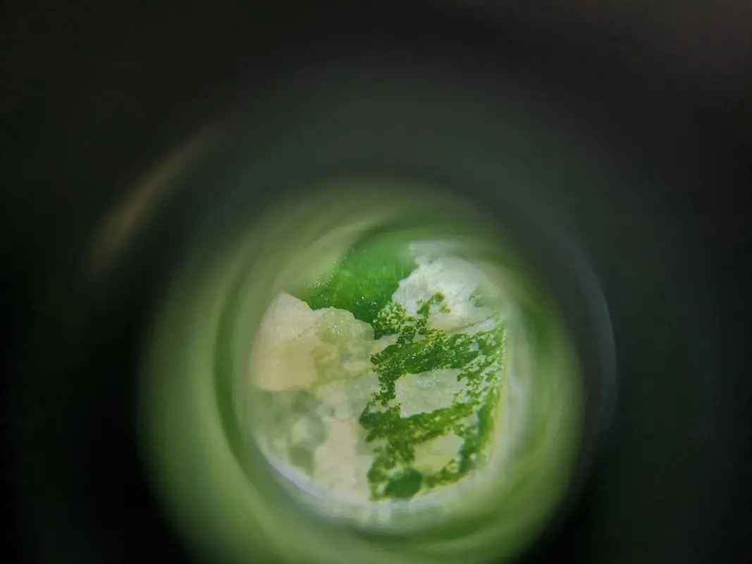 Vreckovy LED mikroskop Neptune 45x